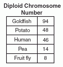 ChromosomeTable.gif