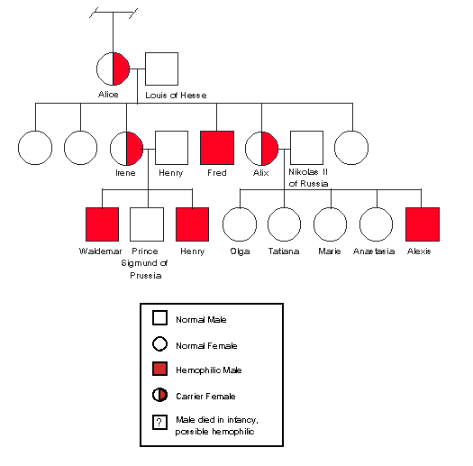 Eye Color Pedigree