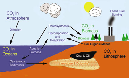 CarbonCycle2.jpg