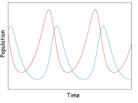 bioamplification diagram