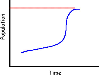 curve1.jpg