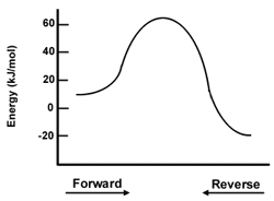 nrgdiagram.gif